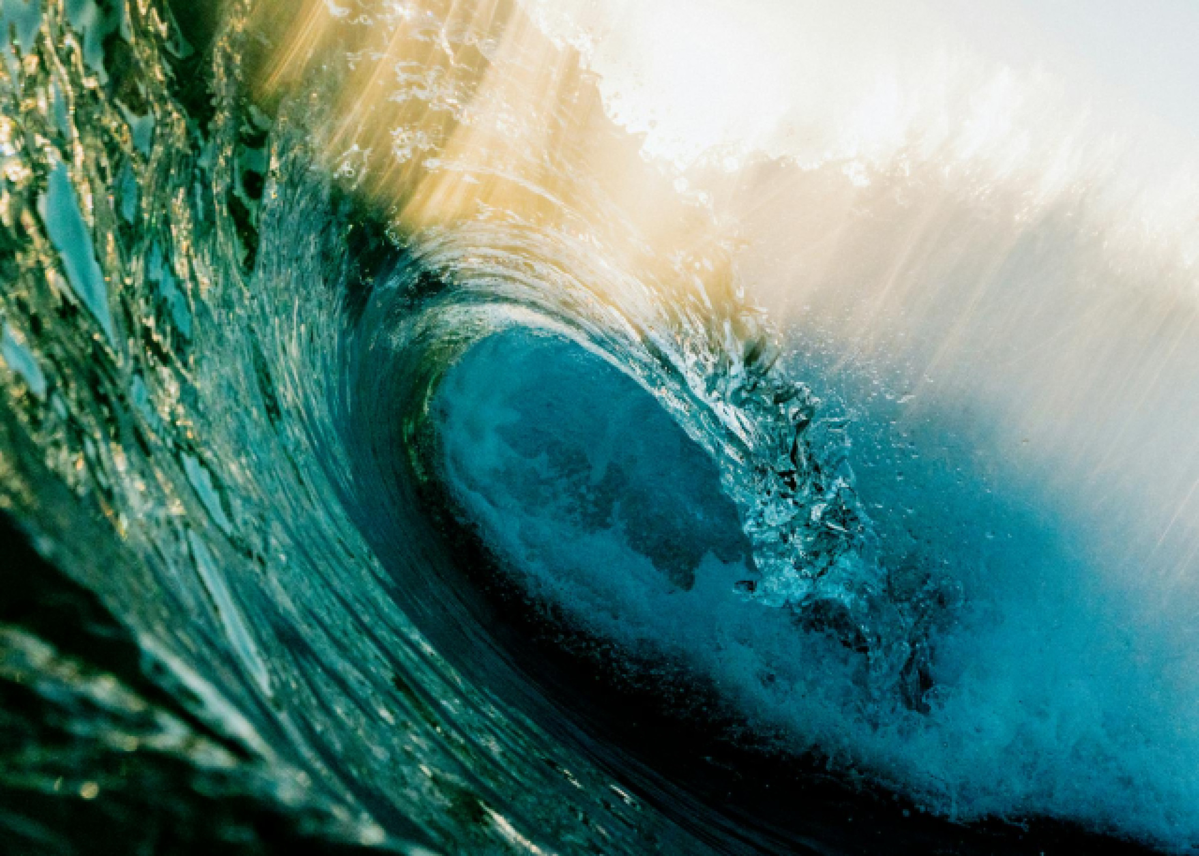 Les meilleurs spots de surf à Le Cap musées