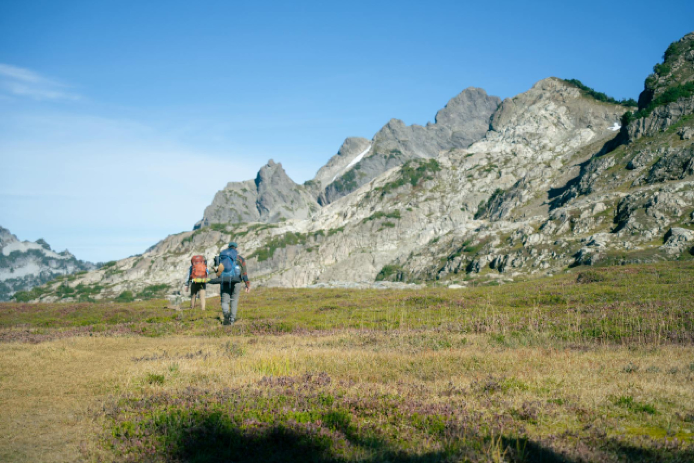 Washington Luxe : Palaces et Resorts Prestigieux