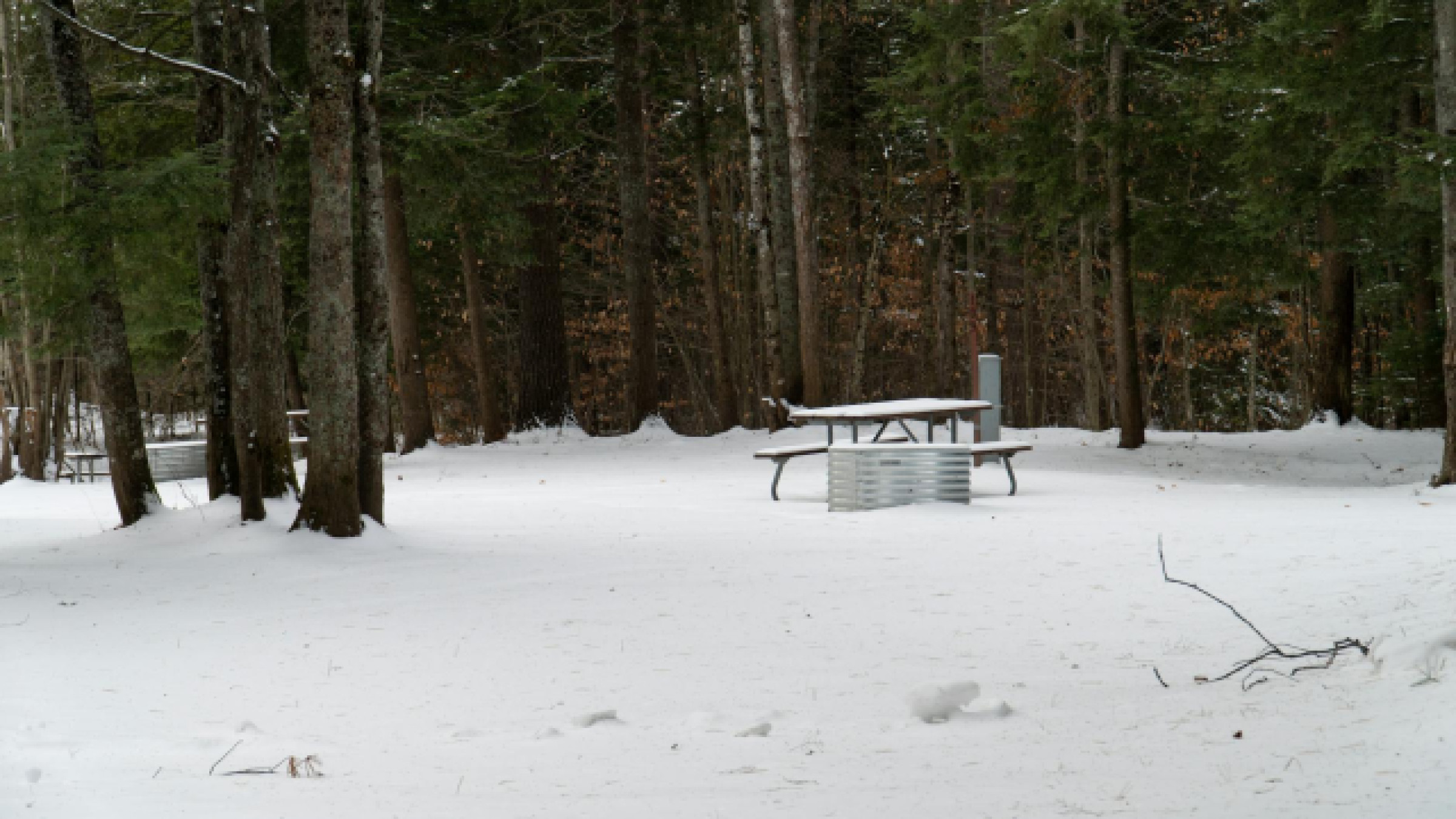 Budget Voyage Michigan : Randonnées Inoubliables