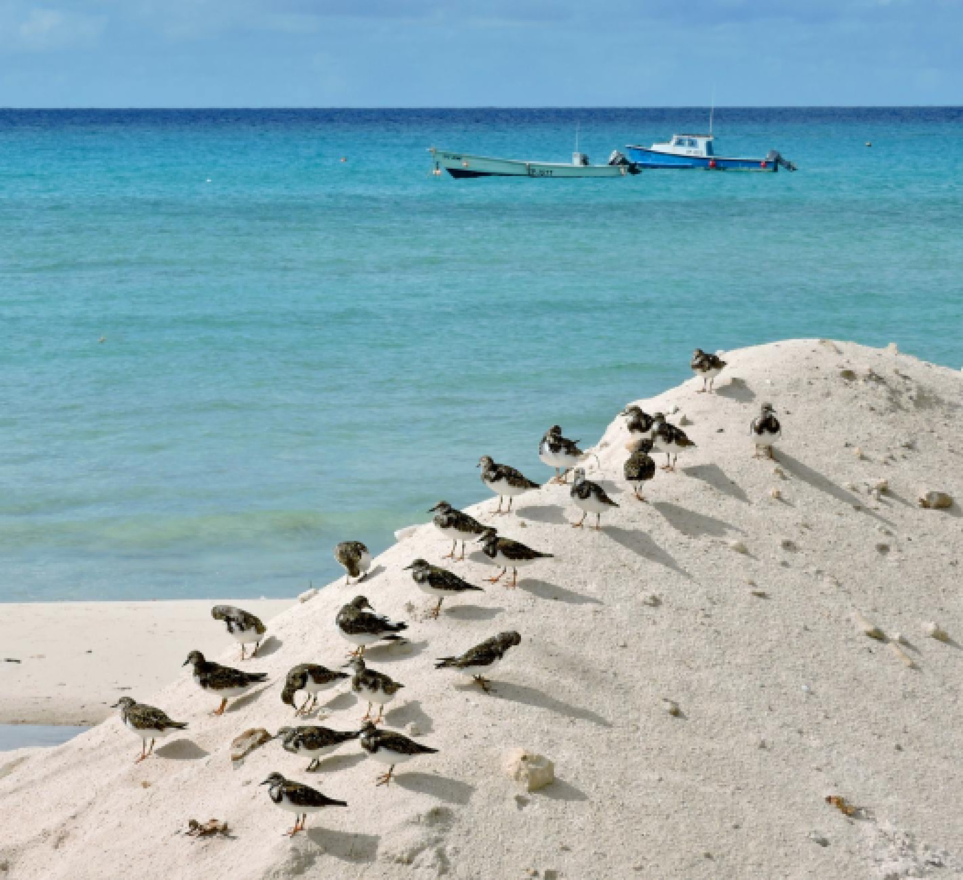 Plages secrètes à Florence : Activités inédites