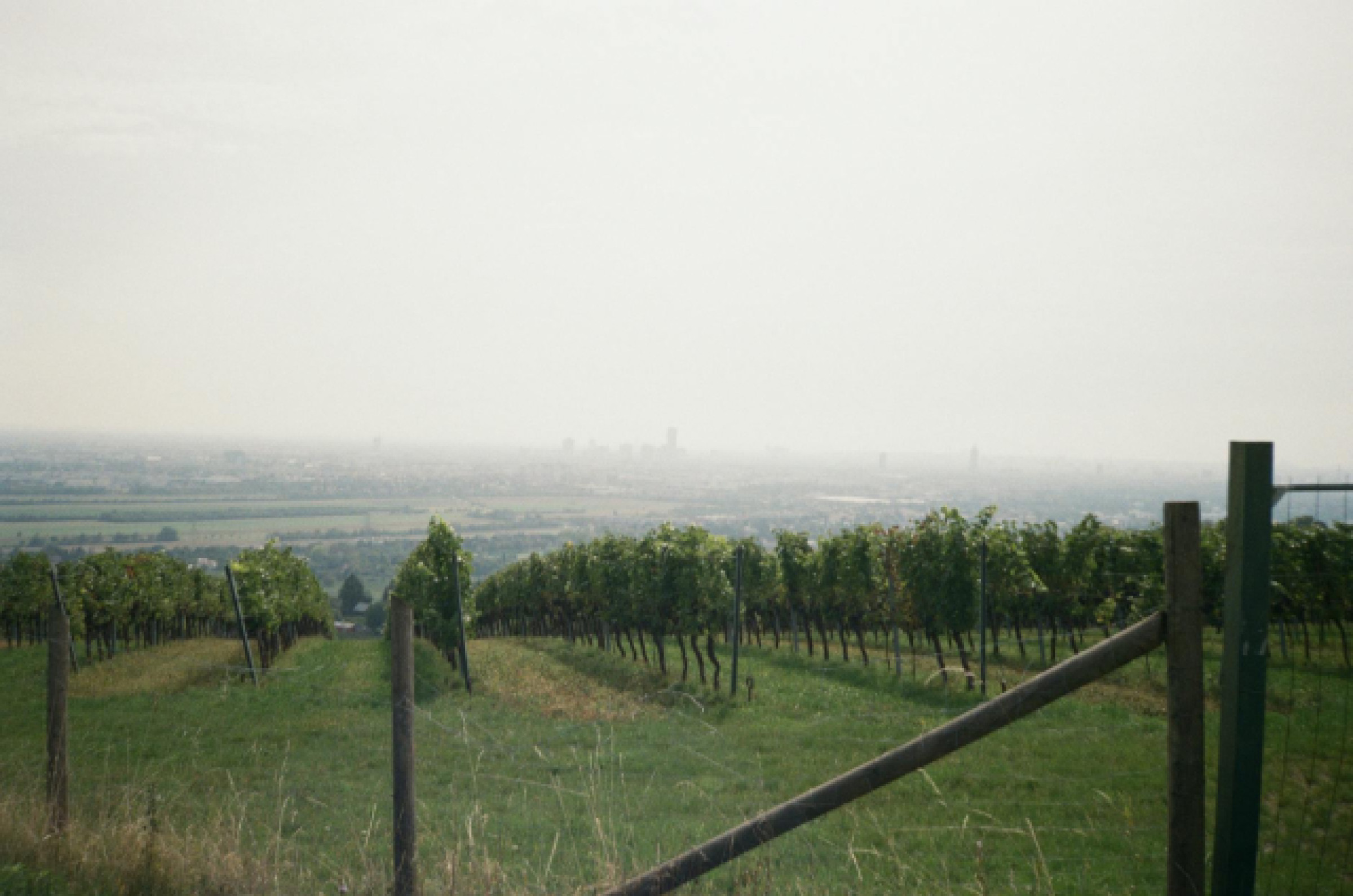 Bruxelles Bars et Vie Nocturne Animée