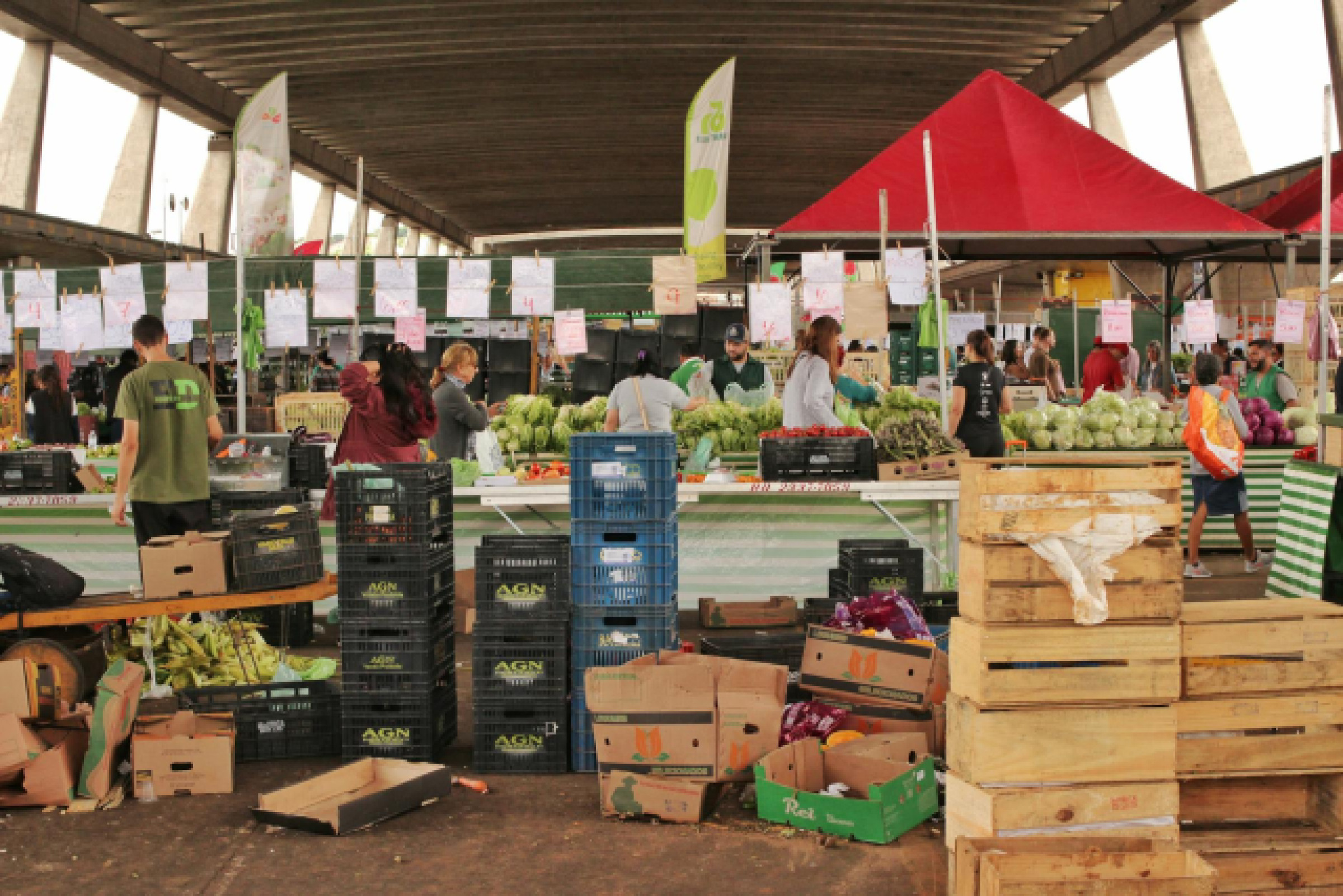 Secrets de Séville : Guide des Marchés Locaux