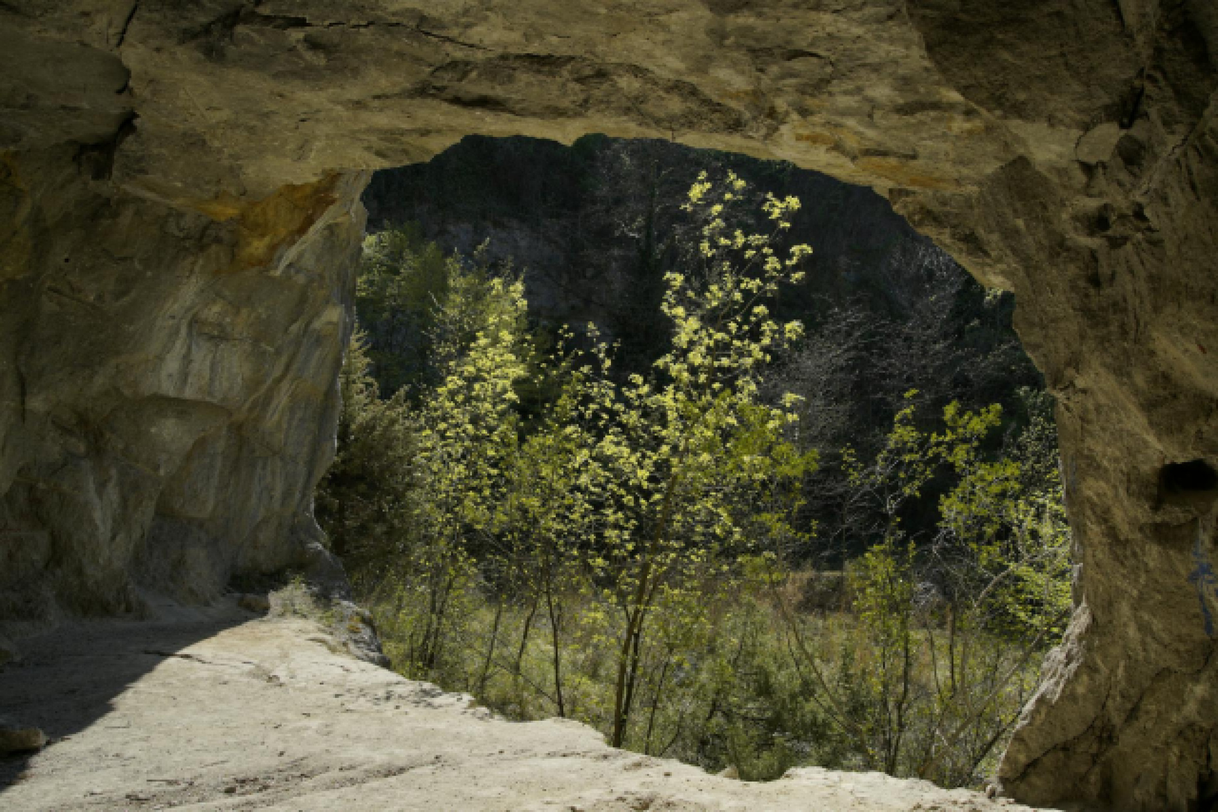 Découvrez les meilleurs médine spots cachés