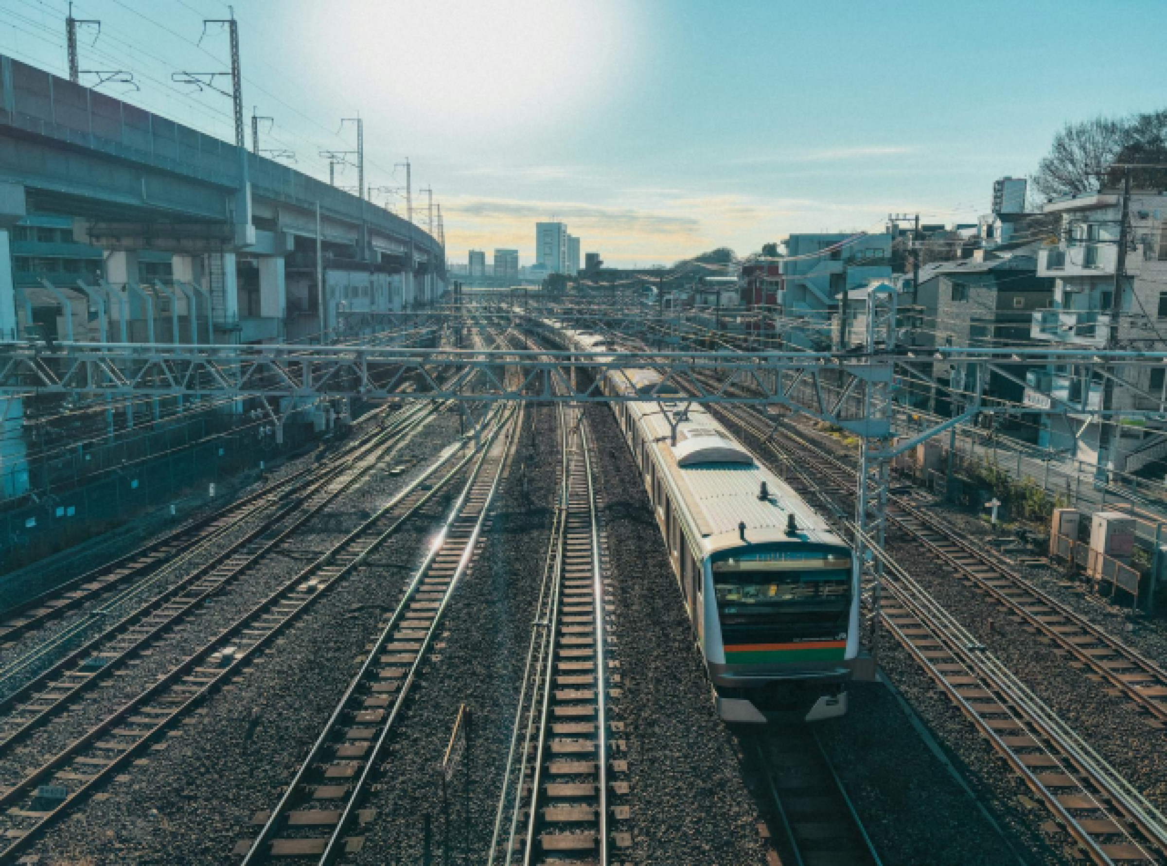 Guide Complet pour Visiter Tokyo : Découvrez les Quartiers, Temples et Saveurs de la Gastronomie Japonaise