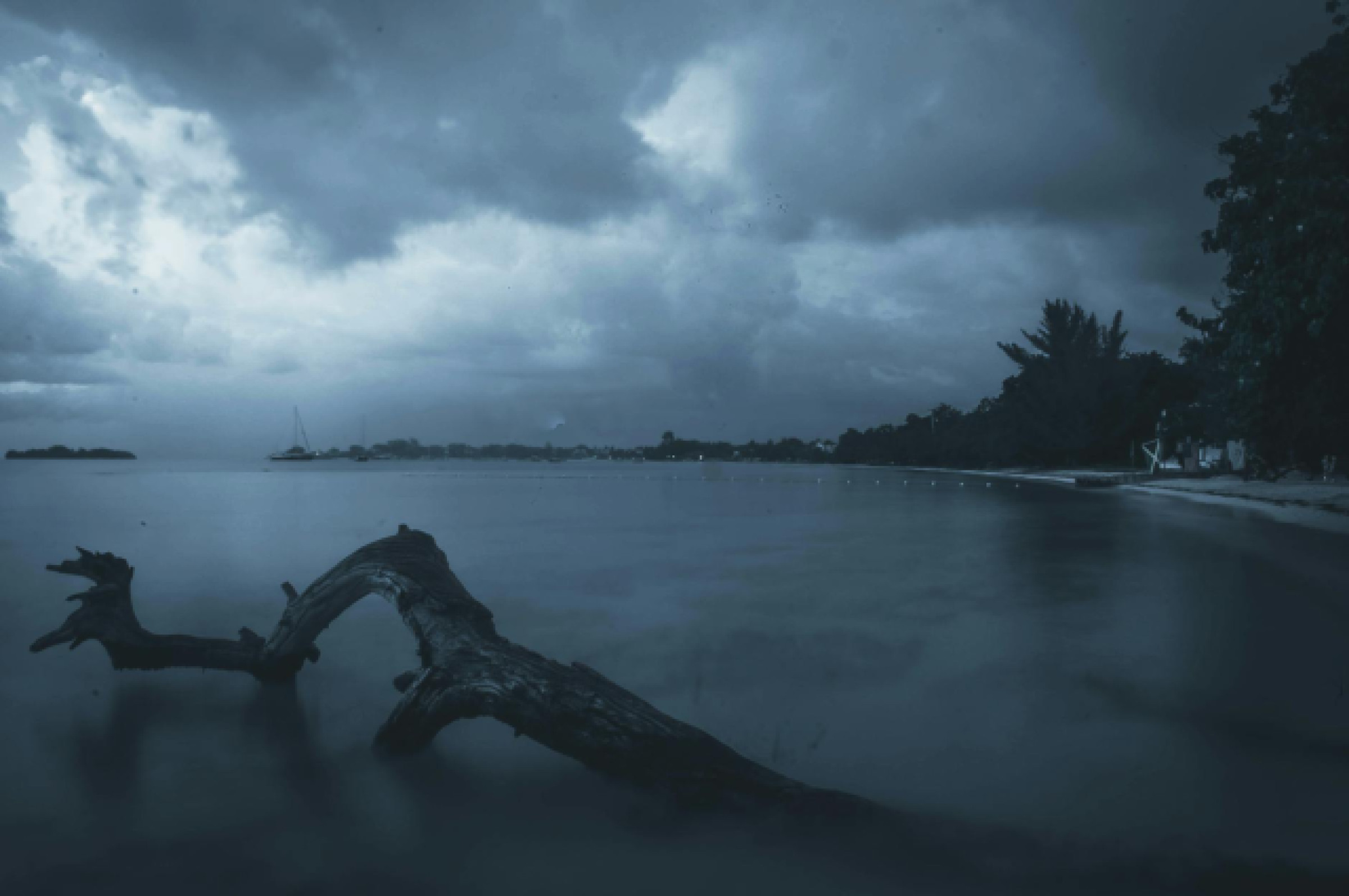 Découvrez les plages et musées à Negril