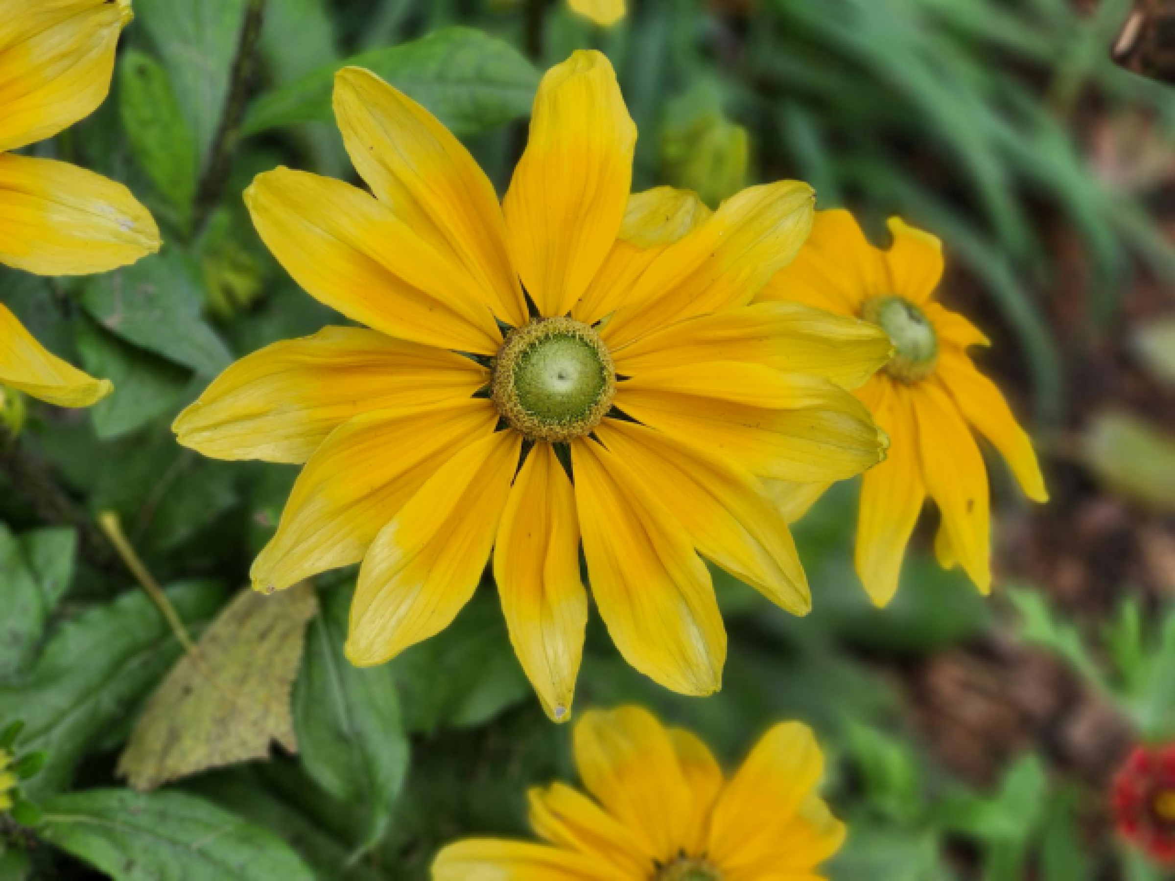 Toronto randonnées : itinéraire de 3 jours