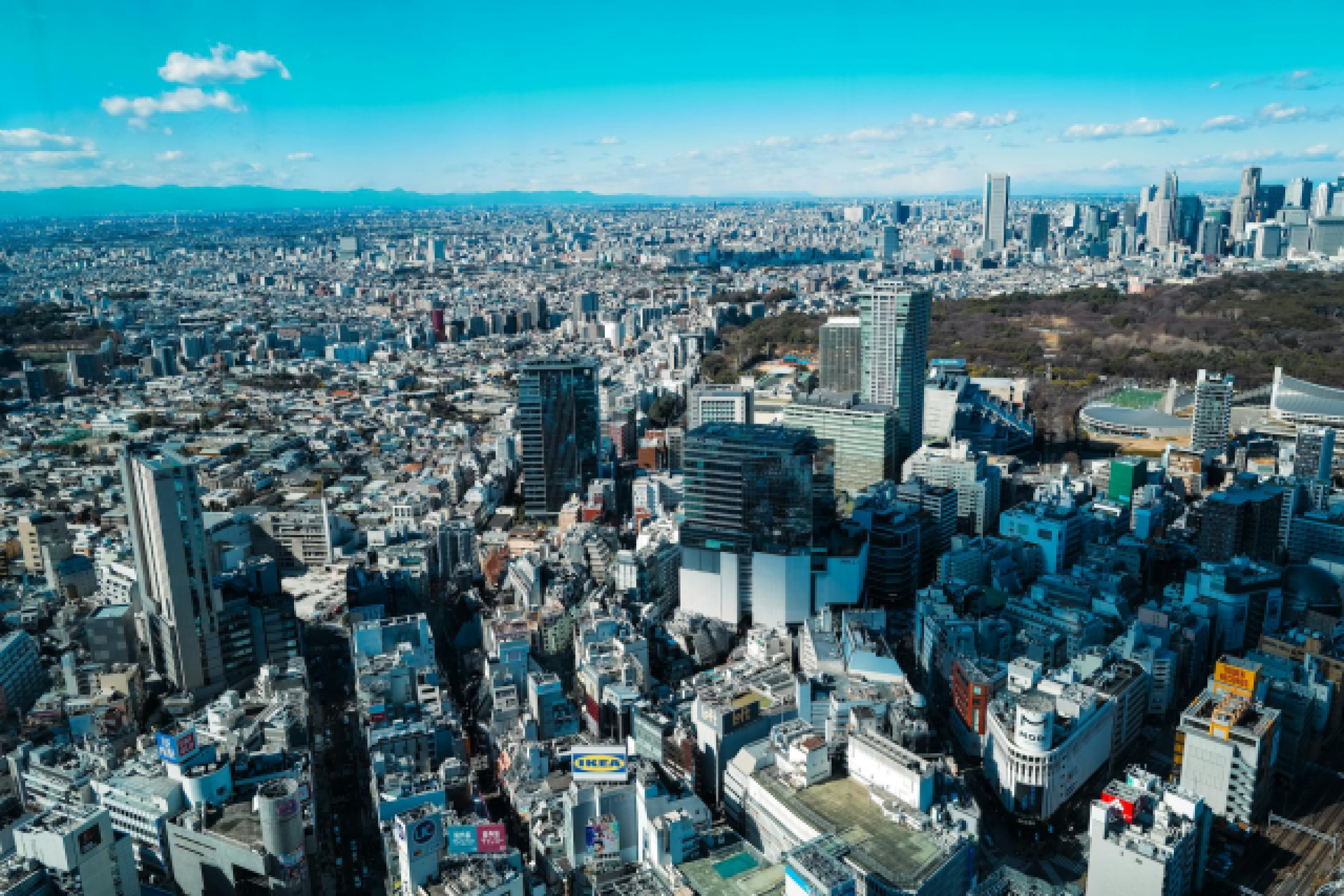 Découvrez Tokyo à pied : secrets et randonnées