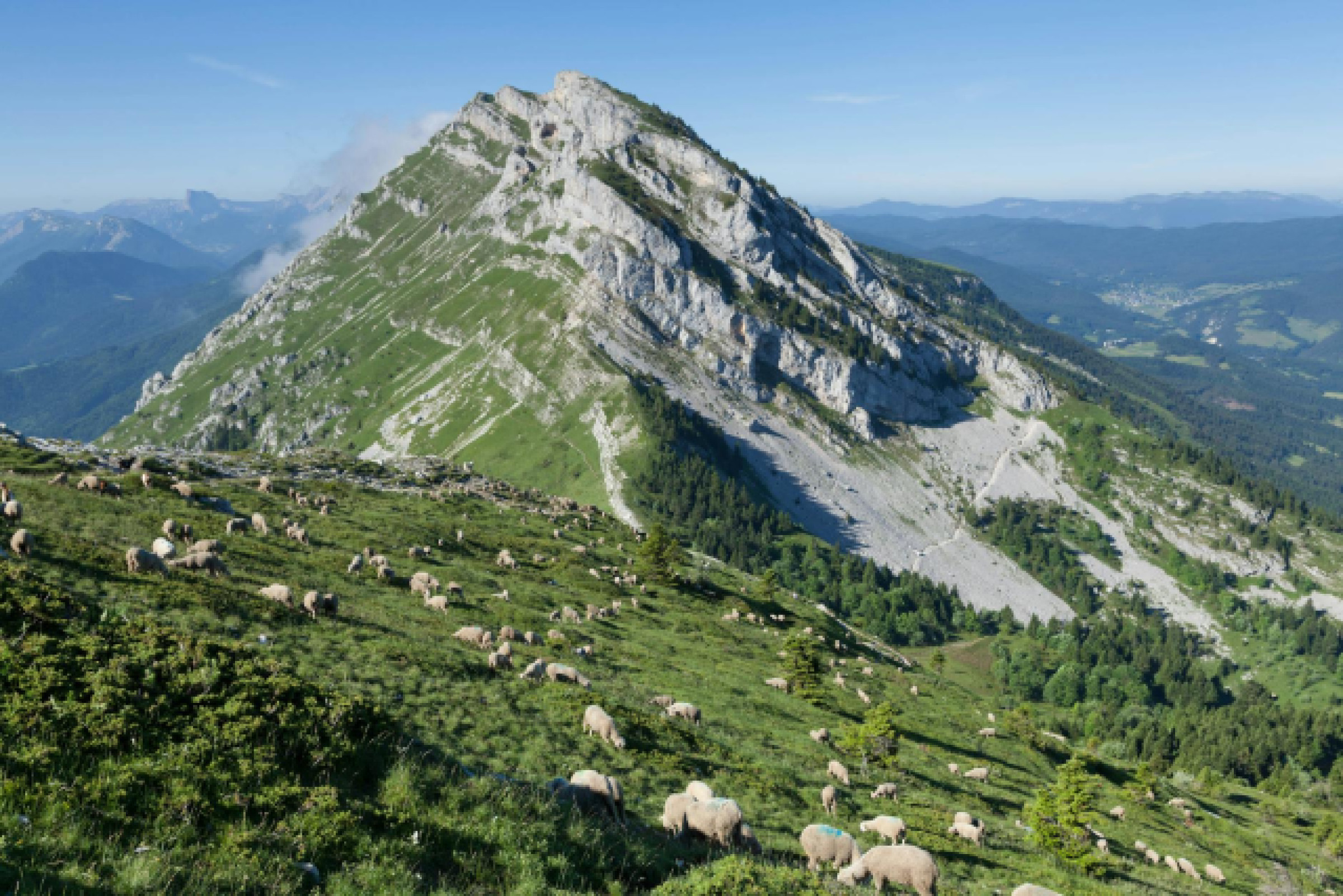 Top 10 randonnées à Munich quartiers