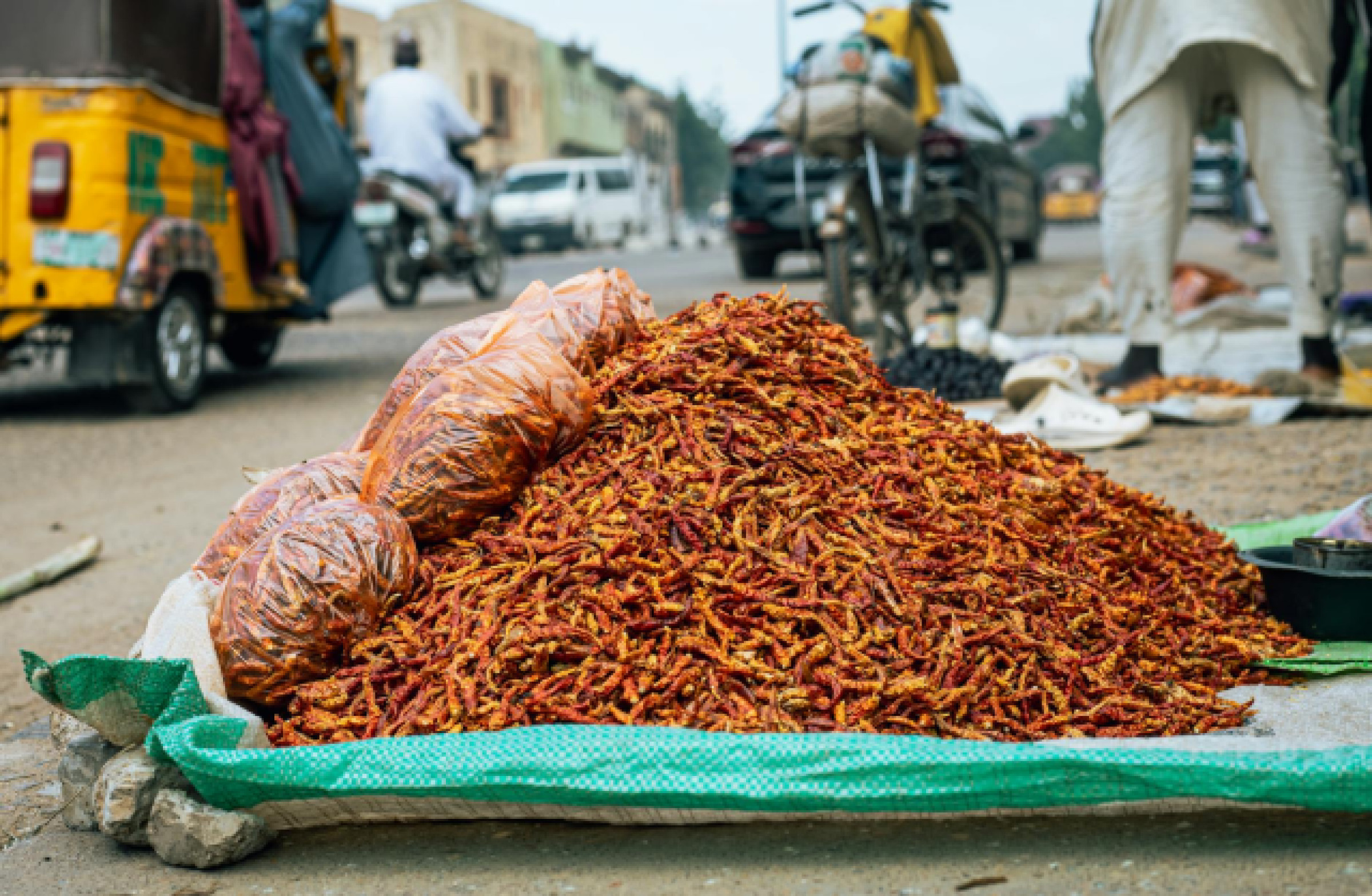 Explorez Kano : 3 Jours, Marchés et Histoire